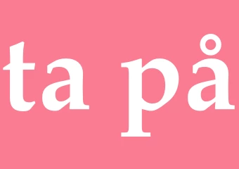 Synonym ta på