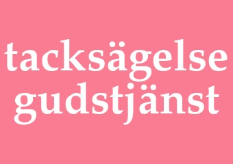 Synonym tacksägelsegudstjänst