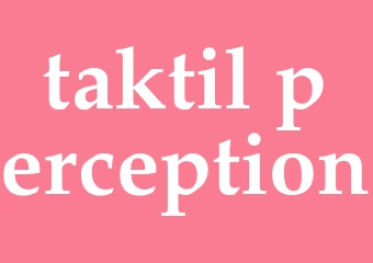 Synonym taktil perception