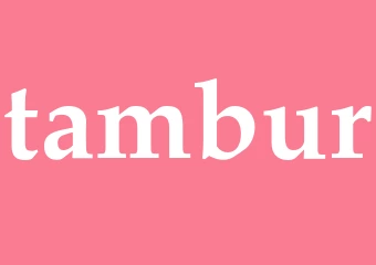 Synonym tambur