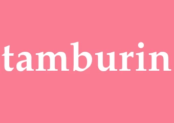 Synonym tamburin