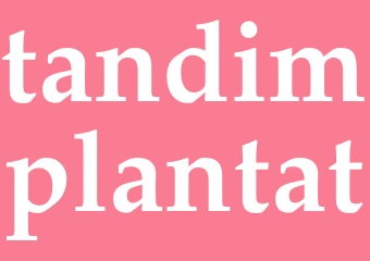 Synonym tandimplantat