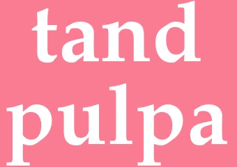Synonym tandpulpa