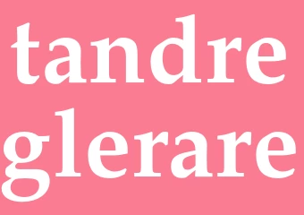 Synonym tandreglerare