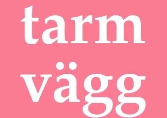 Synonym tarmvägg