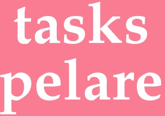 Synonym taskspelare