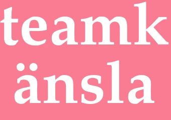 Synonym teamkänsla