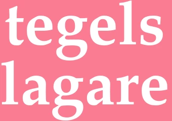 Synonym tegelslagare