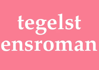 Synonym tegelstensroman