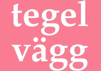 Synonym tegelvägg