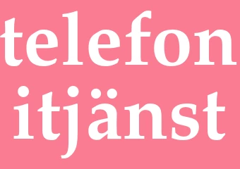 Synonym telefonitjänst