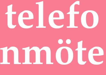 Synonym telefonmöte