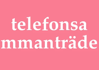 Synonym telefonsammanträde