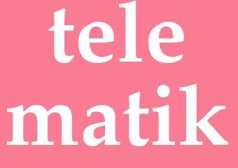Synonym telematik