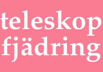 Synonym teleskopfjädring
