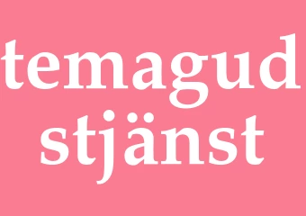 Synonym temagudstjänst