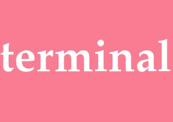 Synonym terminal