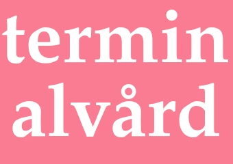 Synonym terminalvård