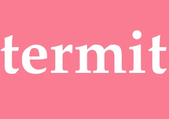 Synonym termit