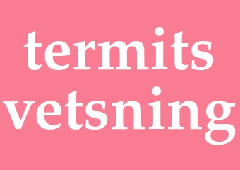 Synonym termitsvetsning