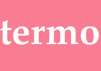 Synonym termo