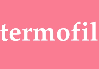 Synonym termofil