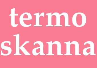 Synonym termoskanna