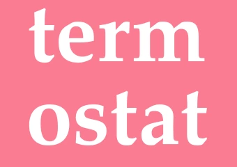 Synonym termostat