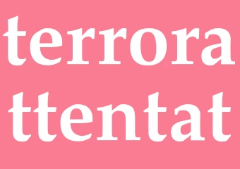 Synonym terrorattentat