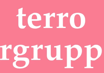 Synonym terrorgrupp