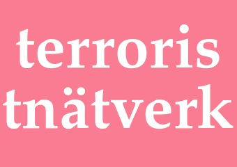 Synonym terroristnätverk