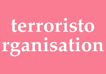 Synonym terroristorganisation