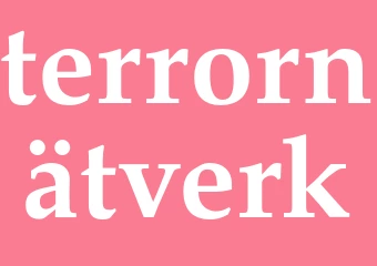 Synonym terrornätverk