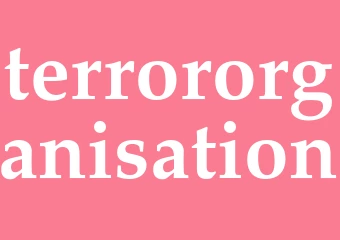 Synonym terrororganisation