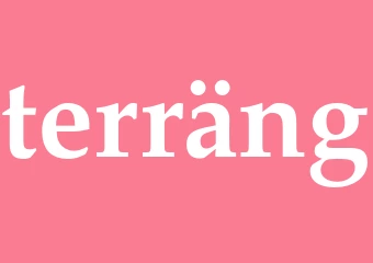 Synonym terräng