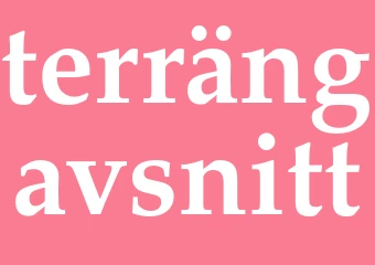 Synonym terrängavsnitt
