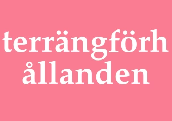 Synonym terrängförhållanden