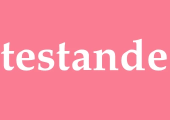 Synonym testande