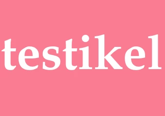 Synonym testikel