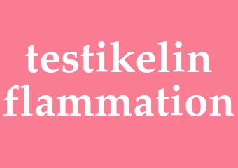 Synonym testikelinflammation