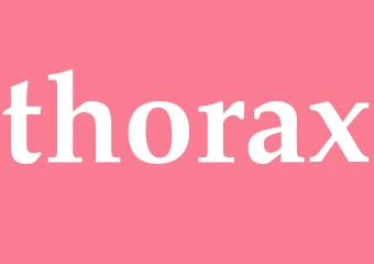Synonym thorax