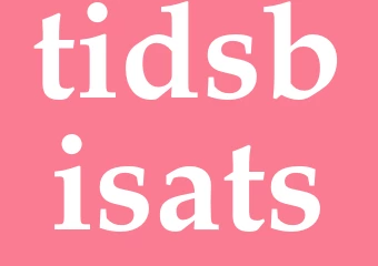 Synonym tidsbisats