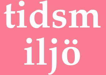 Synonym tidsmiljö