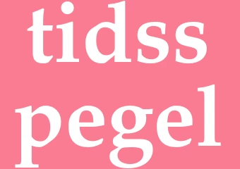 Synonym tidsspegel