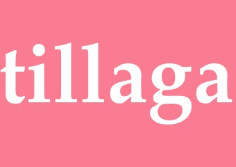 Synonym tillaga