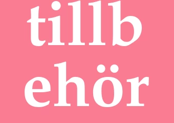 Synonym tillbehör