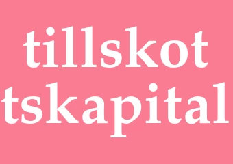 Synonym tillskottskapital