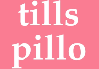Synonym tillspillo