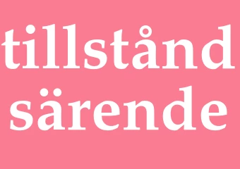 Synonym tillståndsärende