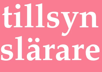 Synonym tillsynslärare
